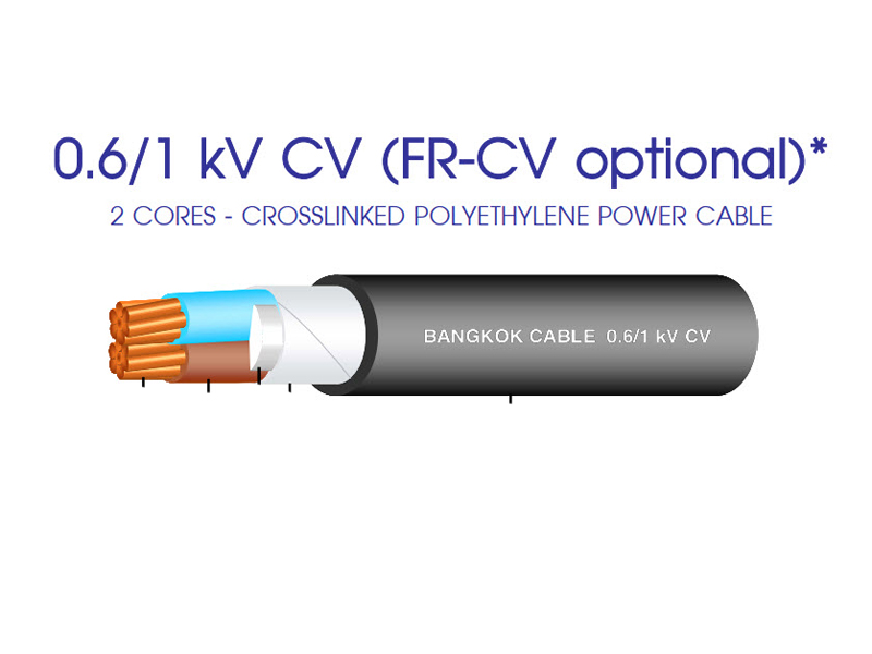 สายไฟ CV 2x4 บางกอกเคเบิ้ล BCC (เมตร)